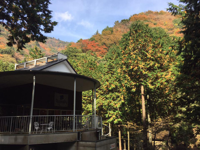 クアハウス山小屋（伊勢原市）
